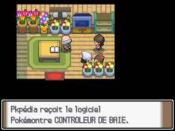 Fichier:Route 208 Contrôleur de Baie Pt.png