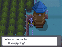 Route 39 CT60 HGSS.png