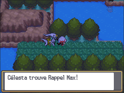 Route 44 Rappel Max HGSS.png