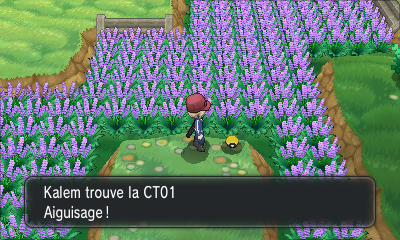 Fichier:Route 5 CT01 XY.png
