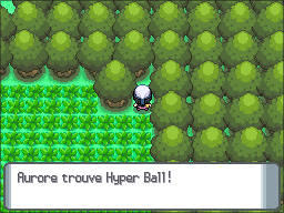 Route 210 Hyper Ball DP.png