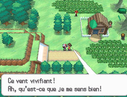 Fichier:Forêt Blanche - Extérieur NB.png