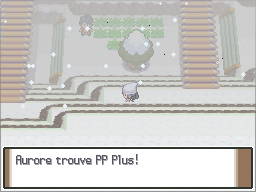 Route 216 PP Plus Pt.png