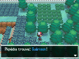 Route 9 Guérison NB.png