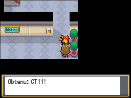 Doublonville CT11 HGSS.png