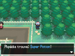 Forêt d'Empoigne Super Potion 1 NB.png