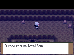 Mont Couronné Total Soin Pt.png