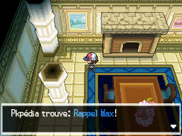 Palais de N Rappel Max NB.png