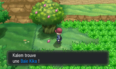 Fichier:Route 7 Baie Kika XY.png