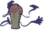 Sprite 0563 chromatique dos XY.png