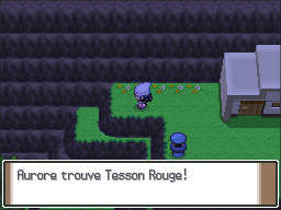 Aire de Survie Tesson Rouge Pt.png