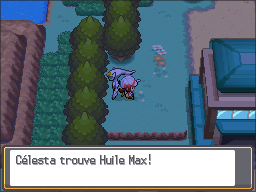 Route 43 Huile Max HGSS.png