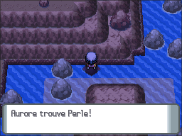 Route 224 Perle 2 DP.png