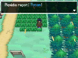 Fichier:Route 1 Potion N2B2.png