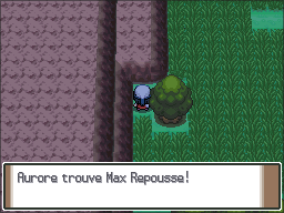 Route 210 Max Repousse Pt.png