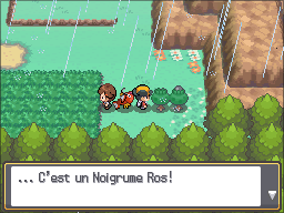 Route 33 Noigrume Rose HGSS.png