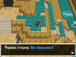 Fichier:Route Victoire Max Repousse 1 N2B2.png