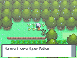 Route 215 Hyper Potion DP.png