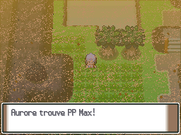Route 228 PP Max Pt.png