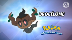 FR - QECP XY117.png