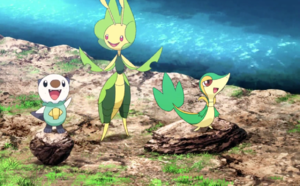 Moustillon, Vipélierre et Manternel de Sacha - Film 16.png