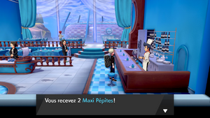Skifford Maxi Pépite EB.png