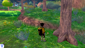 Taupiqueur d'Alola Forêt Flexion 5 EB.png