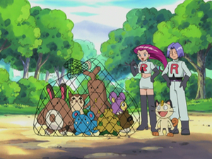 AG011 - Fouinette.png
