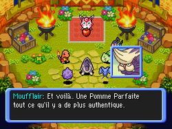 Voleurs et menteurs.