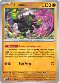 Félicanis (Écarlate et Violet Mascarade Crépusculaire 111)