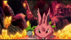 Film 08 - Mystherbe sauvage.png