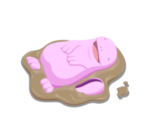 Sprite 0195 Dodo 3 chromatique Sleep.png