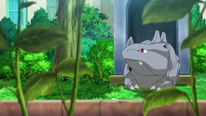 XY003 - Rhinocorne de Grace.png