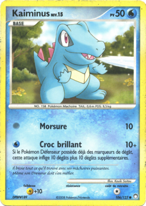 Carte Diamant & Perle Trésors Mystérieux 106.png