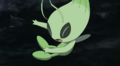 Celebi (sauvage)