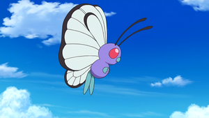 SL008 - Papilusion.png