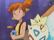 Togepi(d'Ondine)