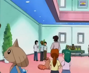 EP262 - Kapoera et Goupix d'un Dresseur.png