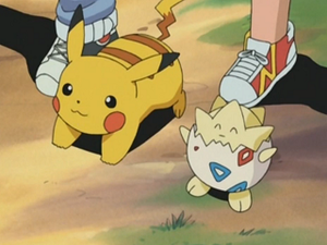 EP265 - Pikachu de Sacha et Togepi d'Ondine.png