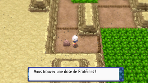 Route 227 Protéine DEPS.png