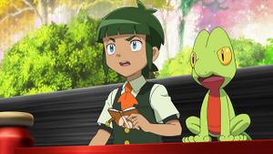 XY074 - Arcko de Liam.png