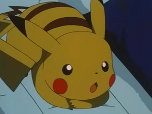 EP219 - Pikachu de Sacha.png