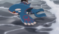 Kyogre (sauvage)