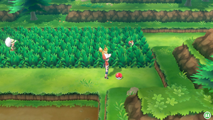 Route 9 Huile LGPE.png
