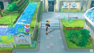 Expert Lippoutou.jpg