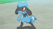 Riolu(de Sacha)