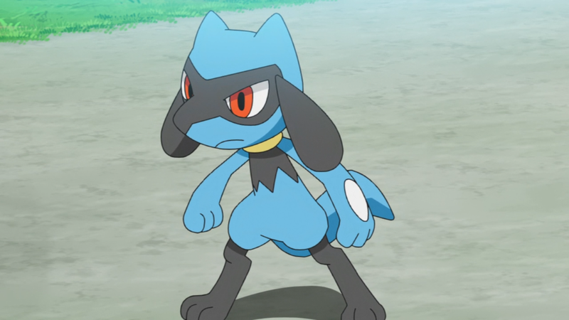 Fichier:Riolu de Sacha.png