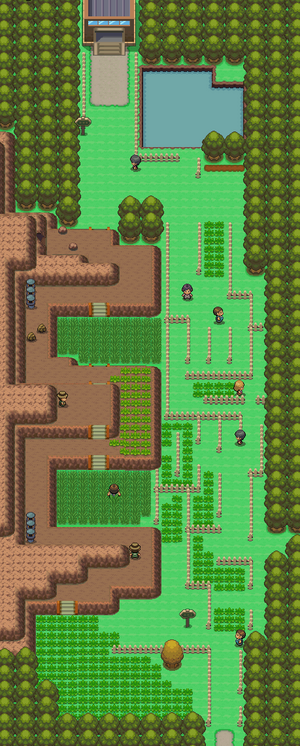 Route 214 Pt.png