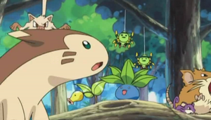 Chronicles 12 - Chétiflor, Férosinge et Fouinar Sauvages.png
