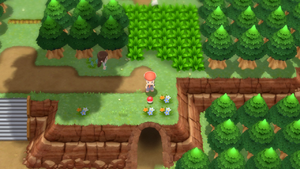 Route 204 Réveil DEPS.png